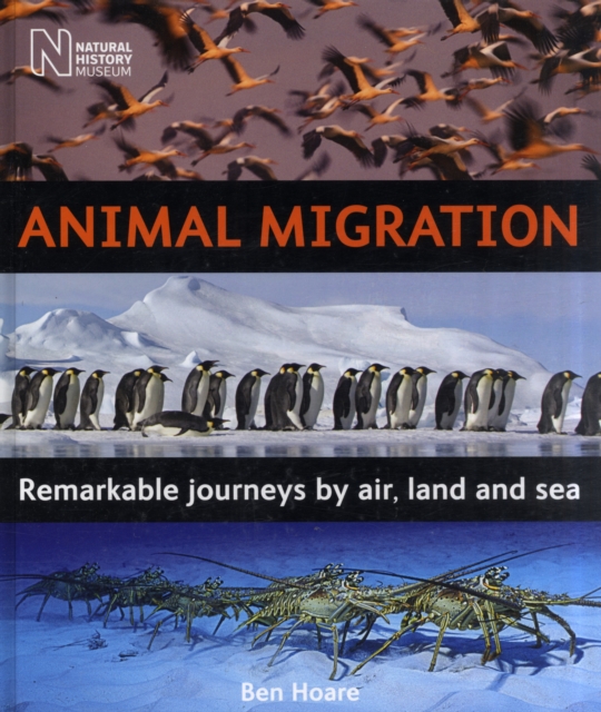Animal Migration : Remarkable Journeys by Air, Land and Sea, Hardback Book
