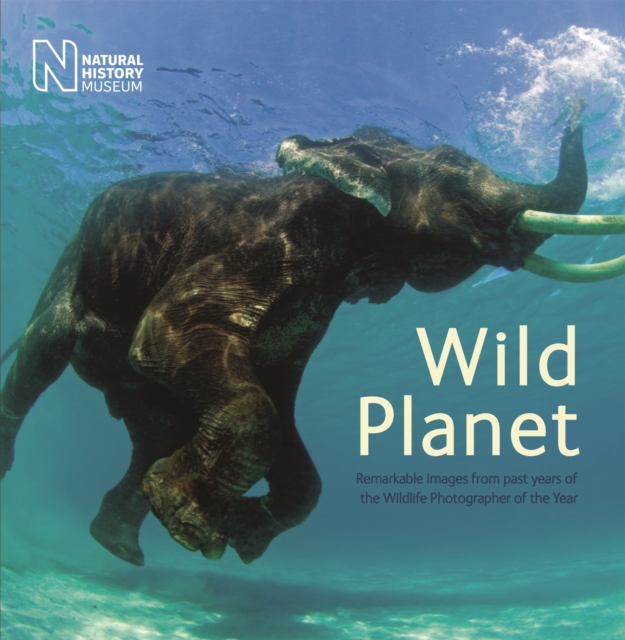 Wild Planet : Celebrating Wildlife Photographer of the Year, Paperback / softback Book