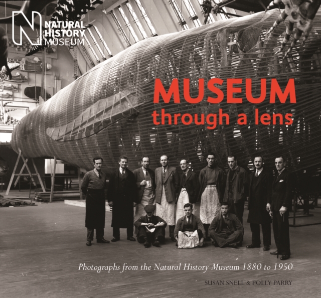 Museum Through a Lens : Photographs from the Natural History Museum 1880 to 1950, Paperback / softback Book