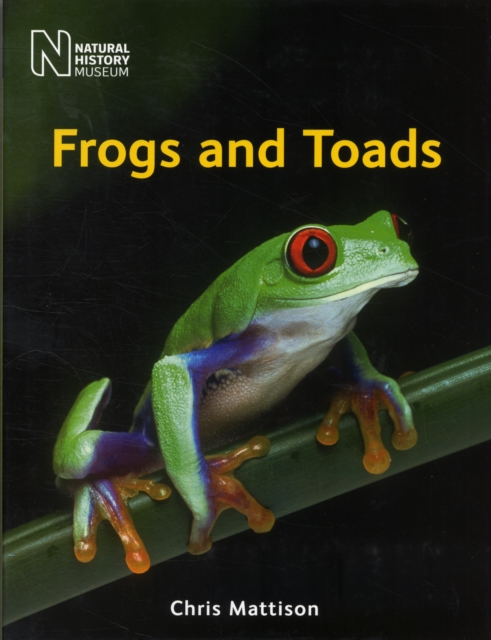 Frogs and Toads, Hardback Book