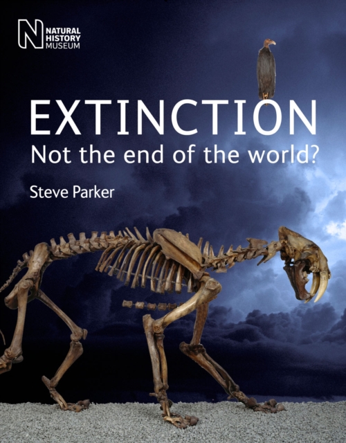 Extinction : Not the End of the World?, Paperback / softback Book