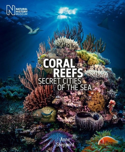 Coral Reefs : Secret Cities of the Sea, Paperback Book