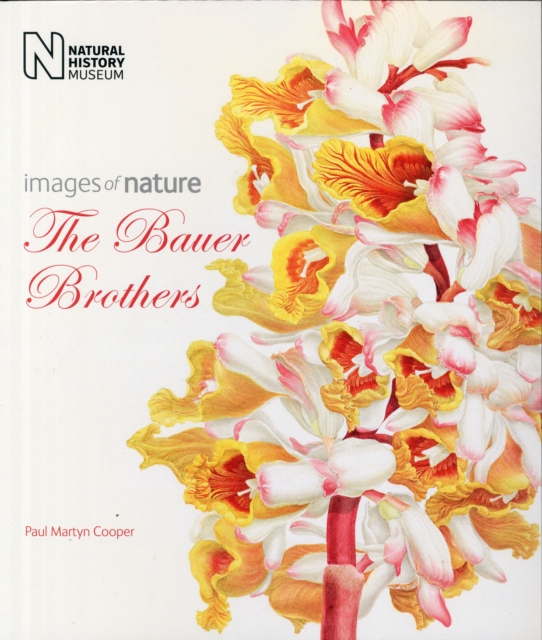 The Bauer Brothers : Images of Nature, Paperback / softback Book