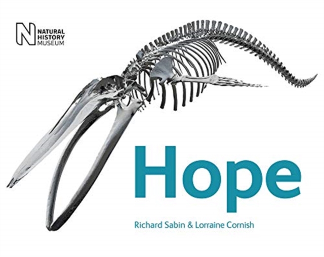 Hope : The story of the blue whale, Paperback / softback Book