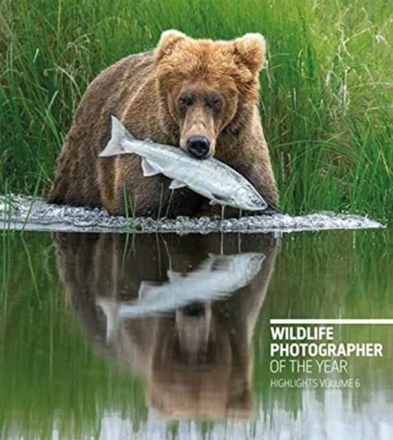 Wildlife Photographer of the Year: Highlights Volume 6, Volume 6, Paperback / softback Book