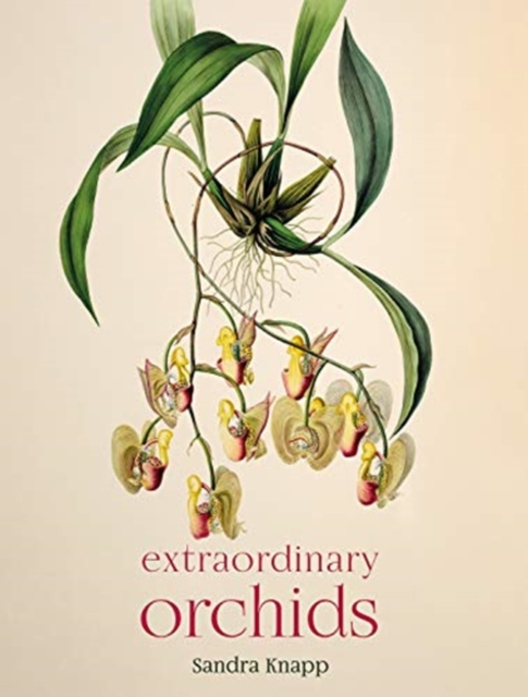 Extraordinary Orchids, Hardback Book