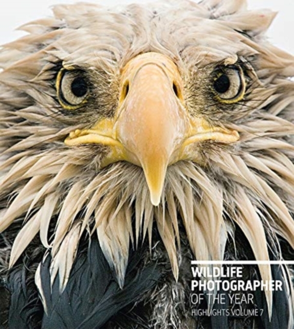 Wildlife Photographer of the Year: Highlights Volume 7, Paperback / softback Book