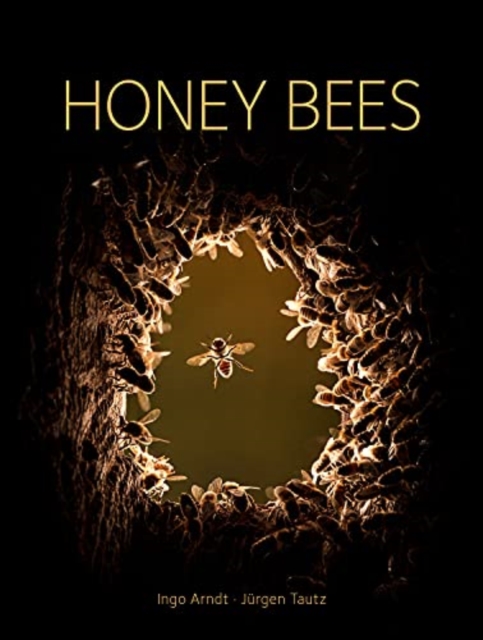 Honey Bees, Hardback Book