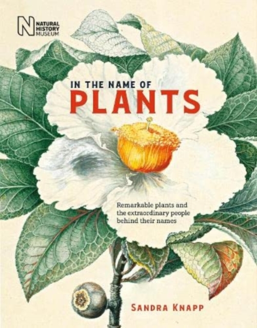 In the Name of Plants : Remarkable plants and the extraordinary people behind their names, Hardback Book