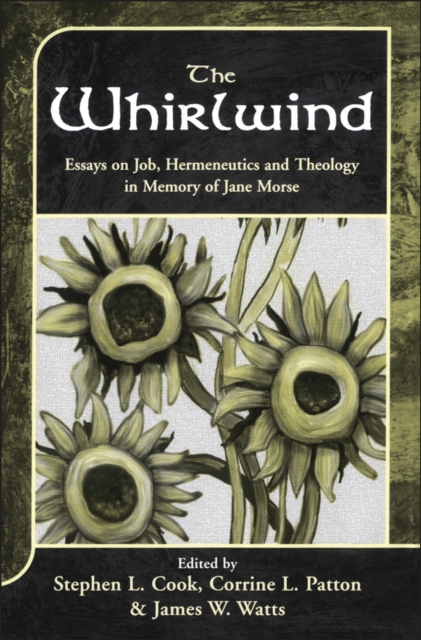 The Whirlwind : Essays on Job, Hermeneutics and Theology in Memory of Jane Morse, PDF eBook