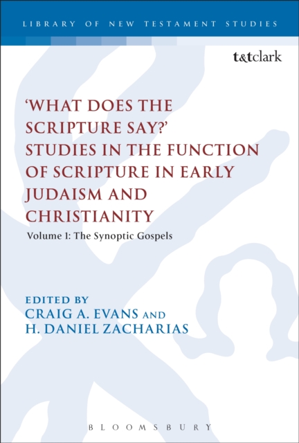 What Does the Scripture Say?' Studies in the Function of Scripture in Early Judaism and Christianity : Volume 1: the Synoptic Gospels, PDF eBook