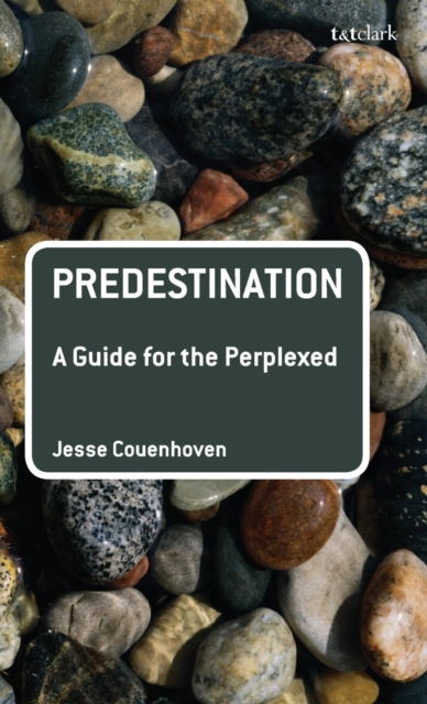 Predestination: A Guide for the Perplexed, Hardback Book