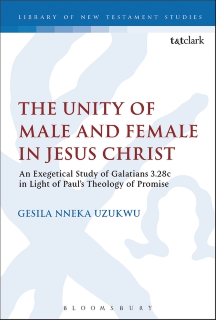 The Unity of Male and Female in Jesus Christ : An Exegetical Study of Galatians 3.28c in Light of Paul's Theology of Promise, Hardback Book