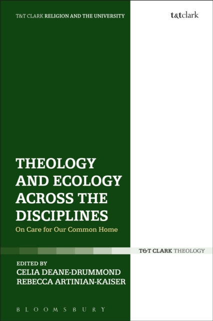 Theology and Ecology Across the Disciplines : On Care for Our Common Home, Hardback Book