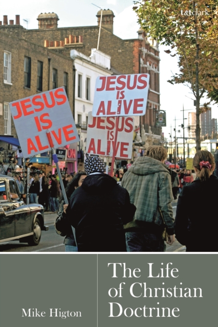 The Life of Christian Doctrine, Paperback / softback Book