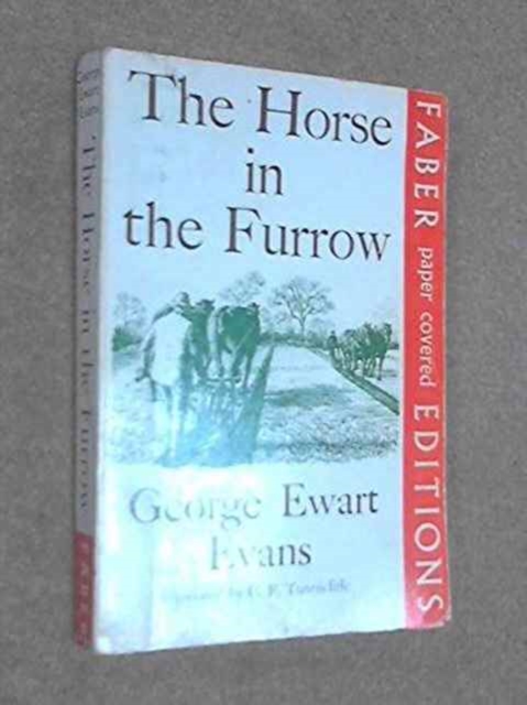 Horse in the Furrow, Paperback / softback Book