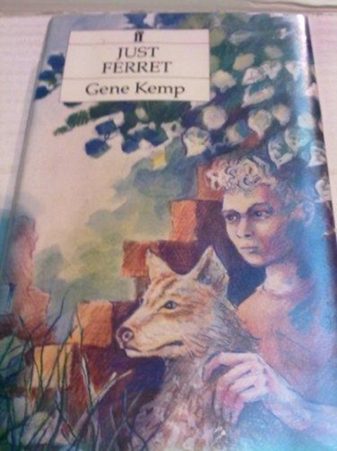 Just Ferret, Hardback Book
