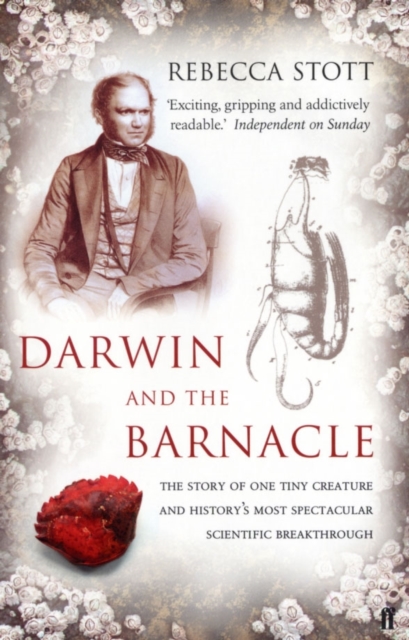 Darwin and the Barnacle, Paperback / softback Book