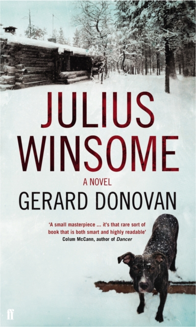 Julius Winsome, Paperback / softback Book