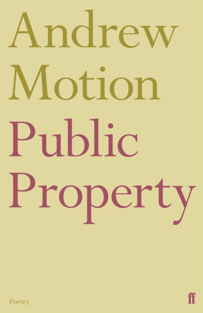 Public Property, EPUB eBook