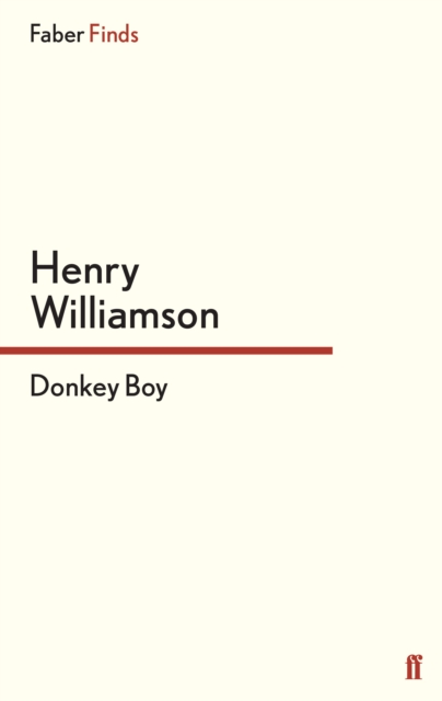 Donkey Boy, Paperback / softback Book
