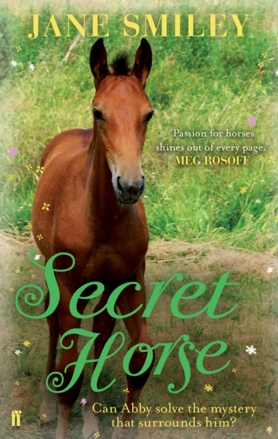 Secret Horse, EPUB eBook