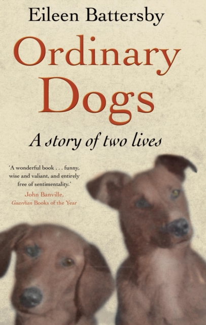 Ordinary Dogs, EPUB eBook