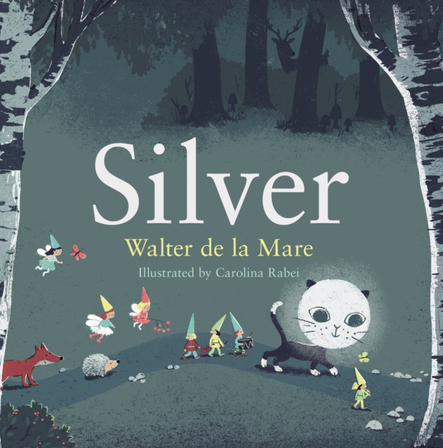 Silver, Hardback Book