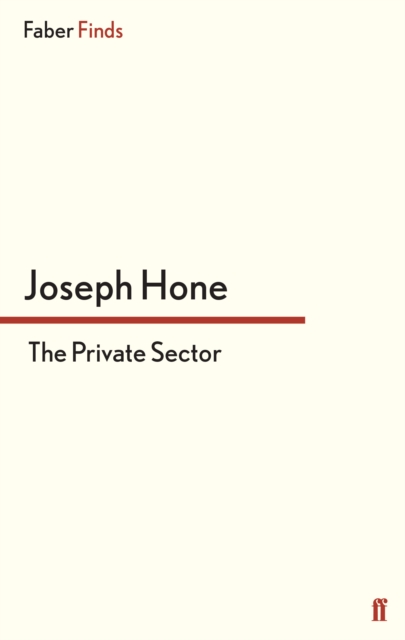 The Private Sector, Paperback / softback Book