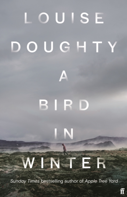 A Bird in Winter : 'Nail-bitingly tense and compelling' Paula Hawkins,  Book