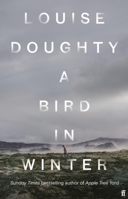 A Bird in Winter, EPUB eBook