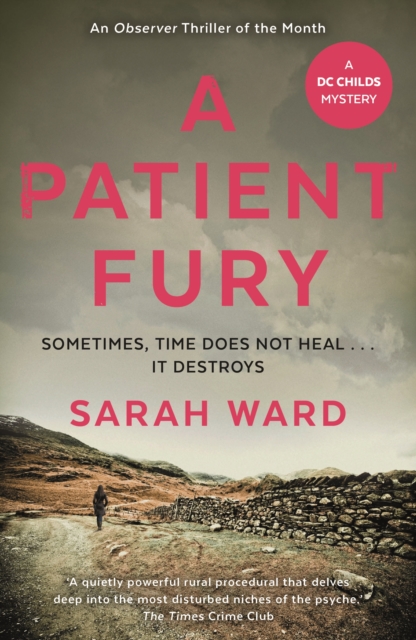 A Patient Fury, Paperback / softback Book