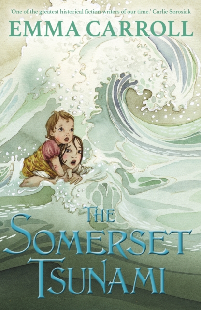The Somerset Tsunami, EPUB eBook