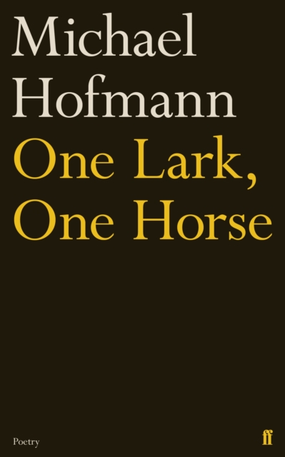 One Lark, One Horse, Paperback / softback Book