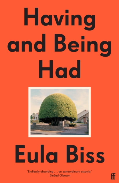 Having and Being Had, Paperback / softback Book