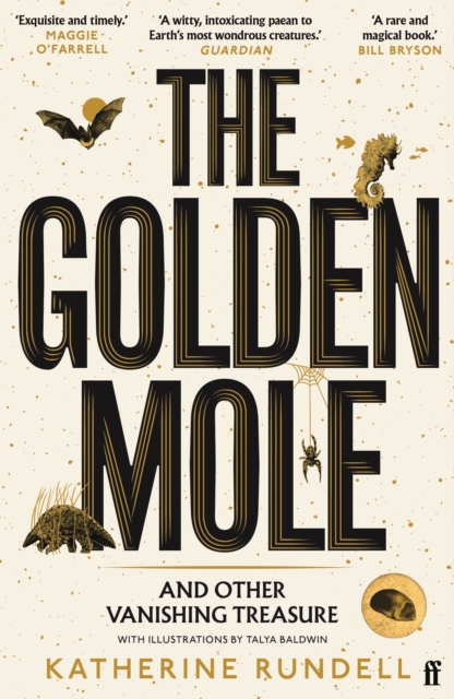 The Golden Mole : and Other Vanishing Treasure, Paperback / softback Book
