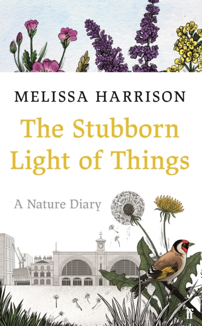The Stubborn Light of Things : A Nature Diary, Hardback Book