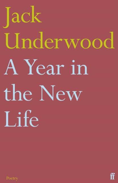 A Year in the New Life, Paperback / softback Book
