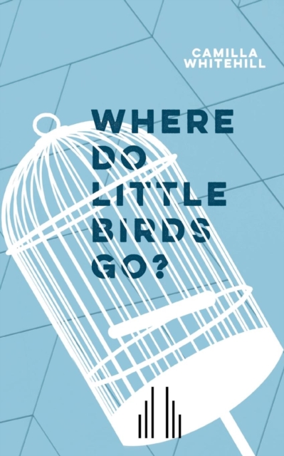 Where Do Little Birds Go?, Paperback / softback Book