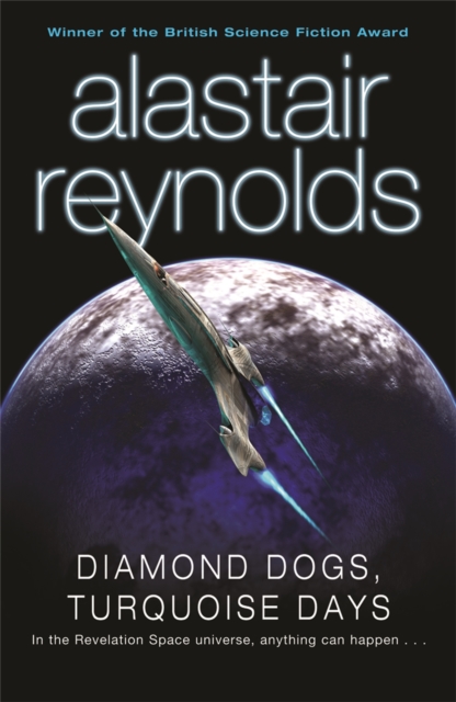 Diamond Dogs, Turquoise Days, Paperback / softback Book