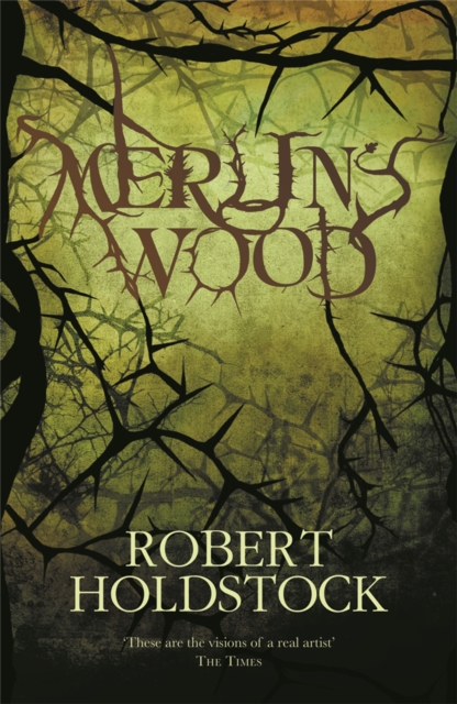 Merlin's Wood, Paperback / softback Book