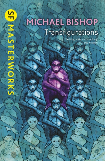 Transfigurations, Paperback / softback Book