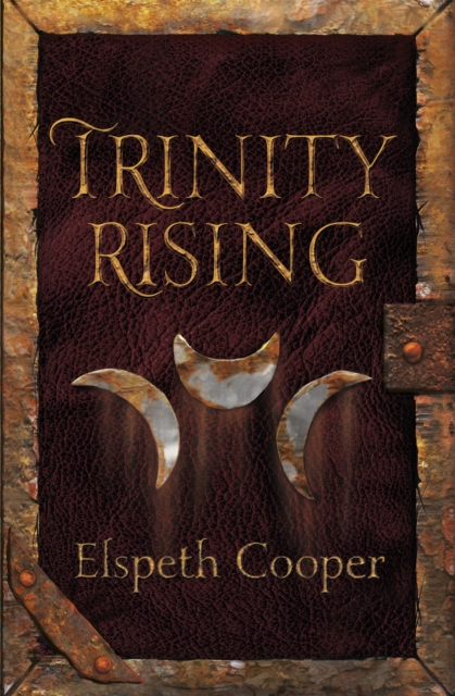 Trinity Rising : The Wild Hunt Book Two, Paperback / softback Book