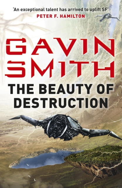 The Beauty of Destruction, EPUB eBook
