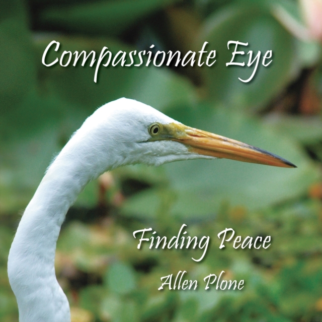 Compassionate Eye : Finding Love, Paperback / softback Book