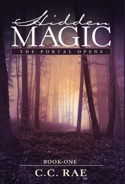 Hidden Magic : The Portal Opens, Hardback Book