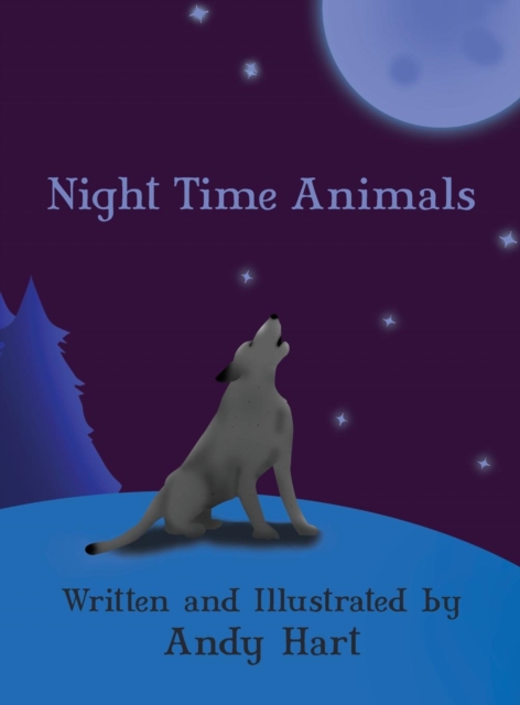 Night Time Animals, Hardback Book