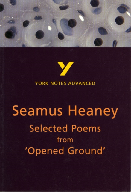 Selected Poems from Opened Ground: York Notes Advanced everything you need to catch up, study and prepare for and 2023 and 2024 exams and assessments, Paperback / softback Book