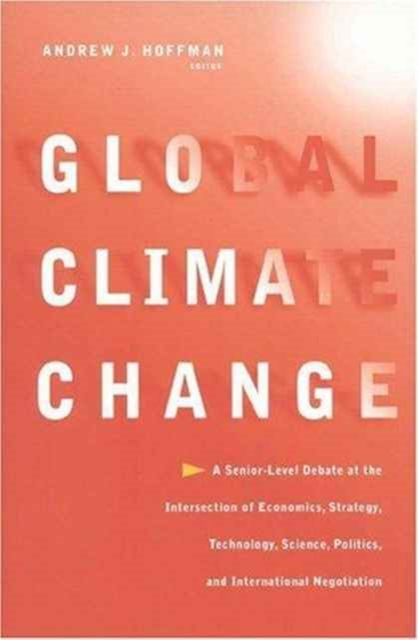 Global Climate Change : A Senior-Level Debate at the Intersection of Economics, Strategy, Technology, Science, Politics, and International Negotiation, Book Book