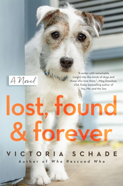 Lost, Found, And Forever : A Novel, Paperback / softback Book